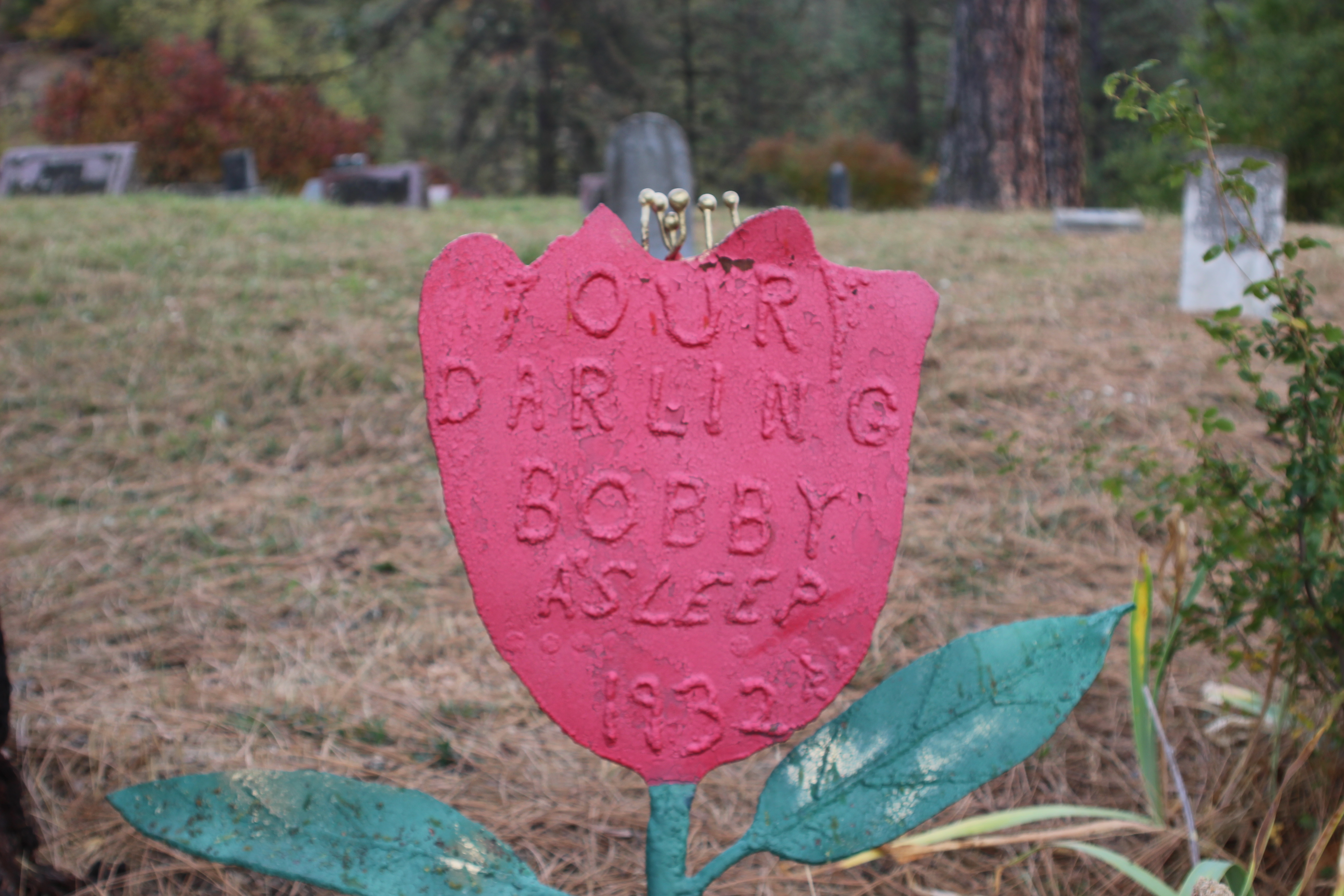 Lambert Cemetery, Edmonson Co., KY